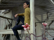 Sulu on the farm