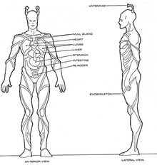 Physiological diagram image.