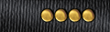 Uniform collar rank insignia image.