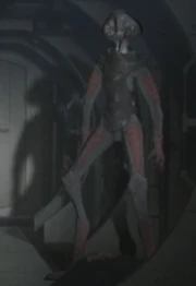 One of the "Shroomies"