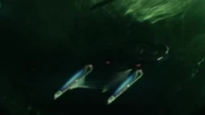 The Intrepid in 2401