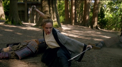 Sara fights against the ninjas