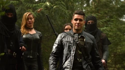 Adrian's  bring Team Arrow to Lian Yu