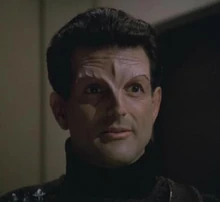 Kashyk, a Devore male