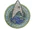 USS Franklin assignment insignia.