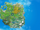 Apollo (planet)