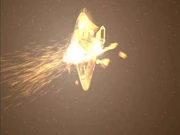 The Delta Flyer is destroyed