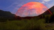 Solar radiation shield