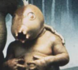 Son