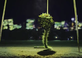 Mib2serleenaneuralroot