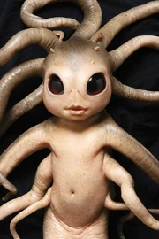 Redgick's newborn child