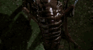 Edgarbug.gif (4.82 MB) Edgarbug