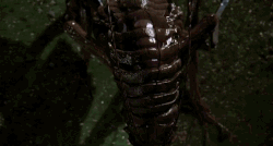 pics Edgar Mib Gif edgar the bug men in black wiki fandom