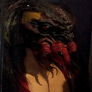 Spider guy alien