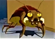 A newborn Bug hatchling