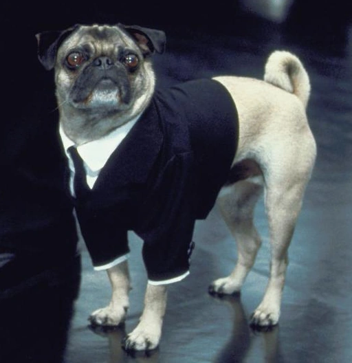 Men In Black - Frank The Pug - Shakems Bobblehead - Factory Entertainment 2012 - Très Bon état