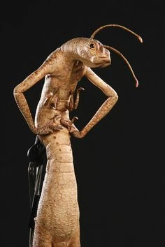 Neeble | Men in Black Wiki | Fandom