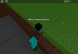 Player, Menlikewomen's Mineblox Wiki