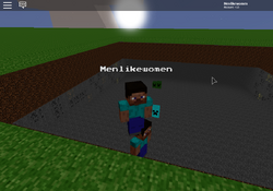 Player, Menlikewomen's Mineblox Wiki