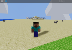 Player, Menlikewomen's Mineblox Wiki