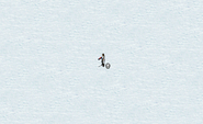 在雪地的谭雅