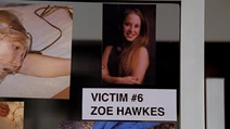 15. Zoe's Reprise