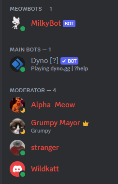 a clean discord bot pfp cat - Playground