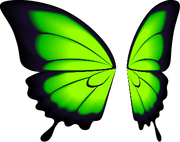 Greenwings.png