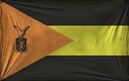 Venezuelan flag