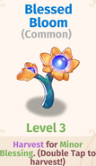 Blessed Bloom