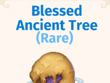 Blessed Ancient Tree