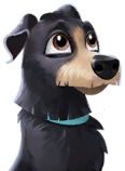 Rufus Worried