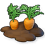 Carrot04