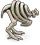 DodoSkeleton02