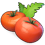 Tomato06
