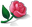 Roses Level 1