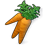 Carrot06