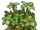 Dark Jungle
