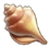 Shells06