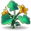 PumpkinVine05