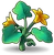 PumpkinVine05