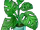 Conservatory/Items