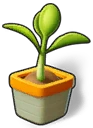Level 2