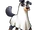 Freaky Critters