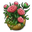 Peony Flower Level 6 Peony Flower Level 6