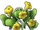 Watermelon Plant