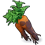 Carrot05