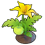 Tomato03
