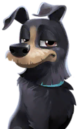 Rufus Annoyed