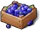 Hopeberry Blueberry